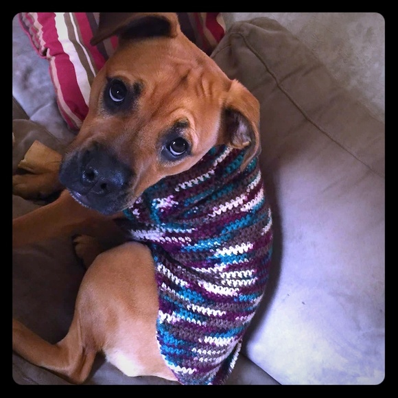 Other - Dog Sweater! 🐕