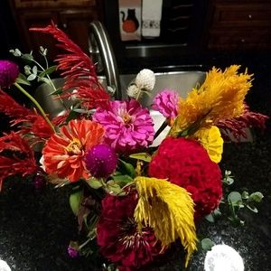 Meet your Posher, Kristy