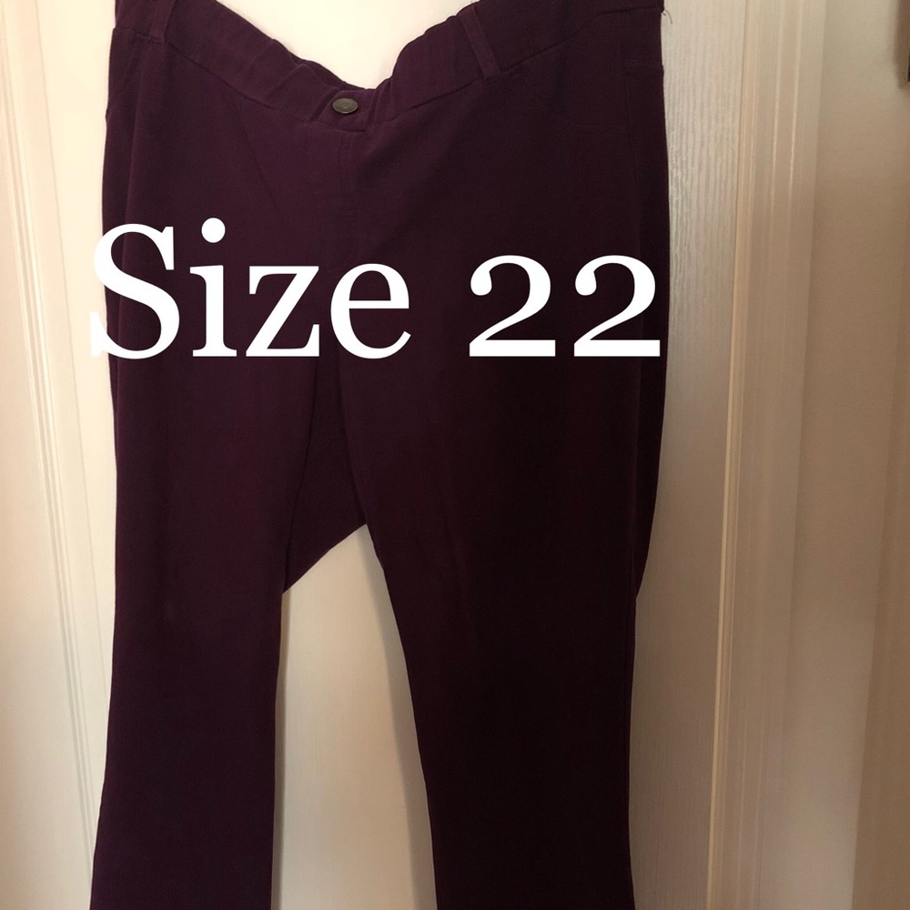 Wine Full Length Jeggings