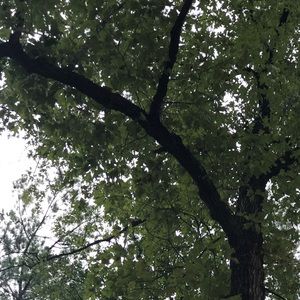 Meet your Posher, Marc