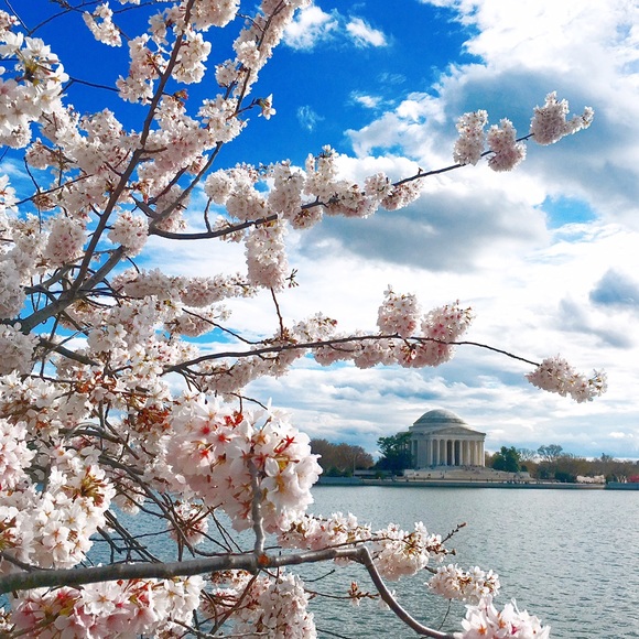 Meet your Posher, Alex - Picture 1 of 1