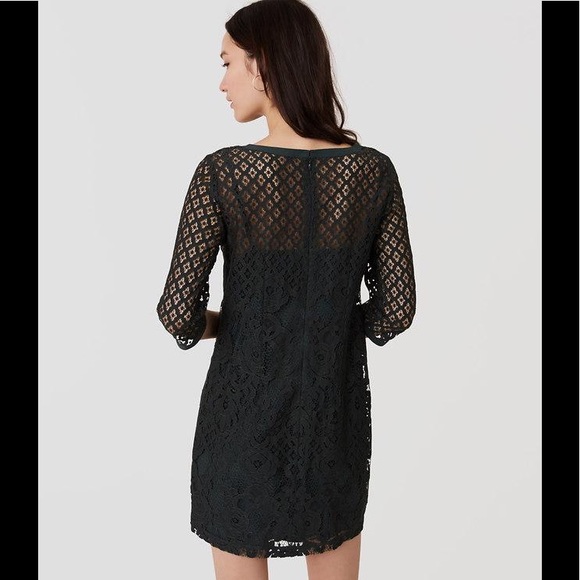 Ann Taylor loft diamond lace shift dress - Picture 2 of 5