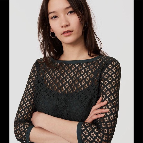 Ann Taylor loft diamond lace shift dress - Picture 3 of 5