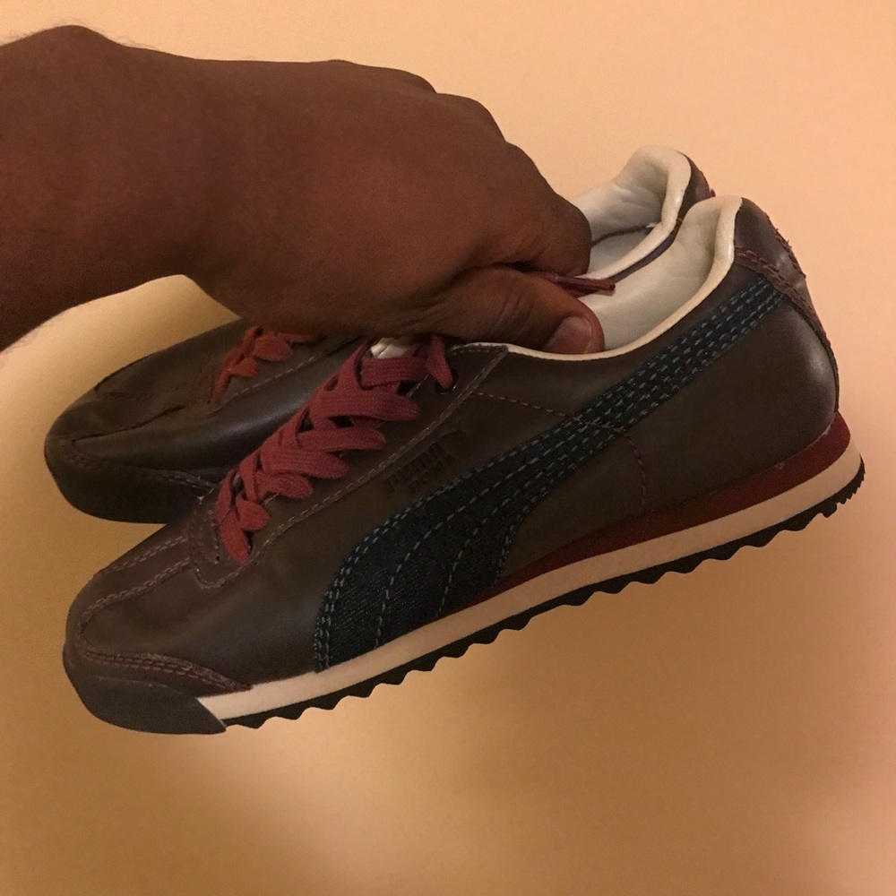 PUMAS