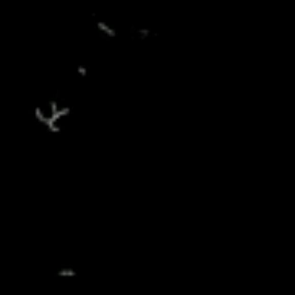 Meet your Posher, Jeanine - Picture 1 of 1