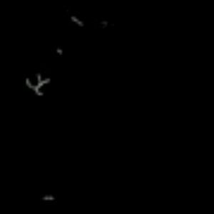 Meet your Posher, Jeanine