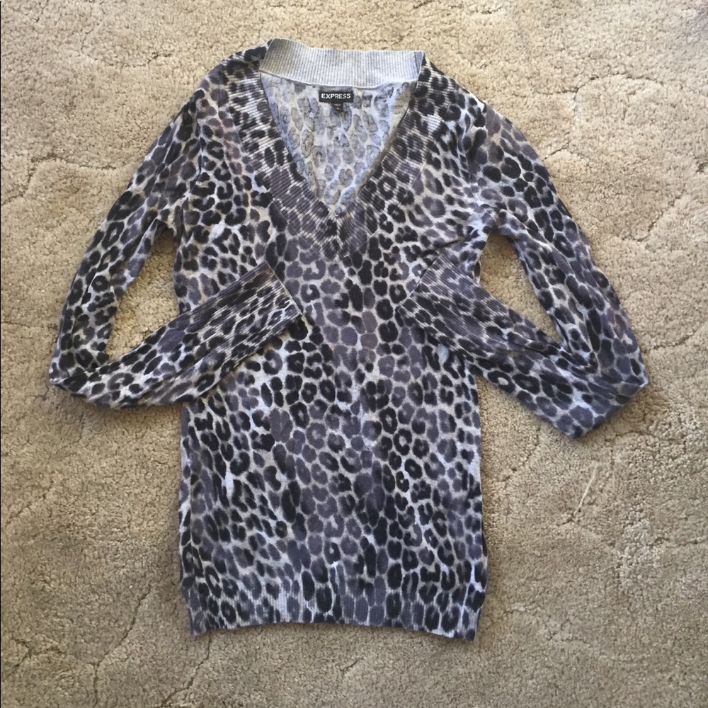 Express leopard print sweater