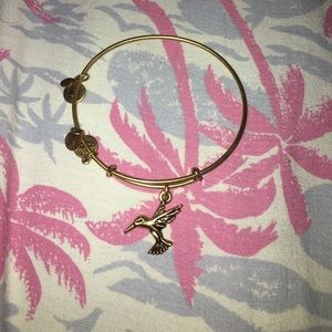 Alex and Ani mocking jay bracelet