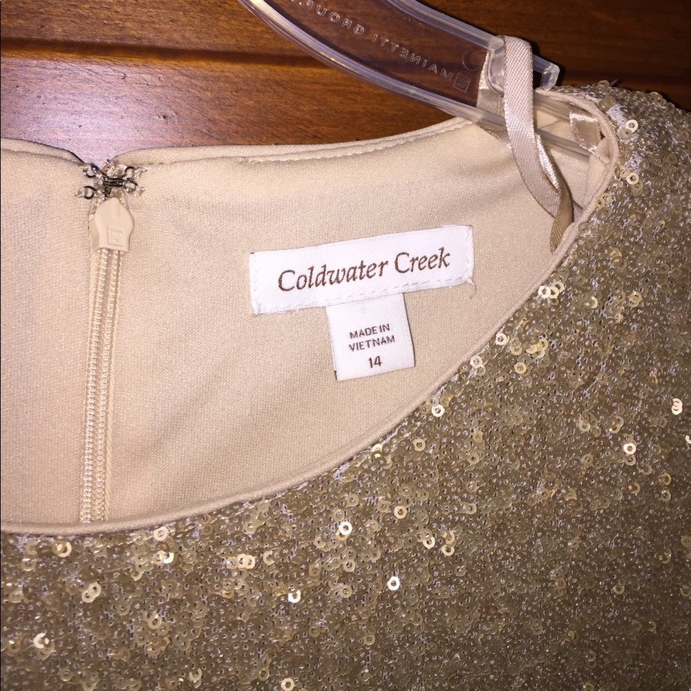 Gold sequin dress - Picture 6 of 7
