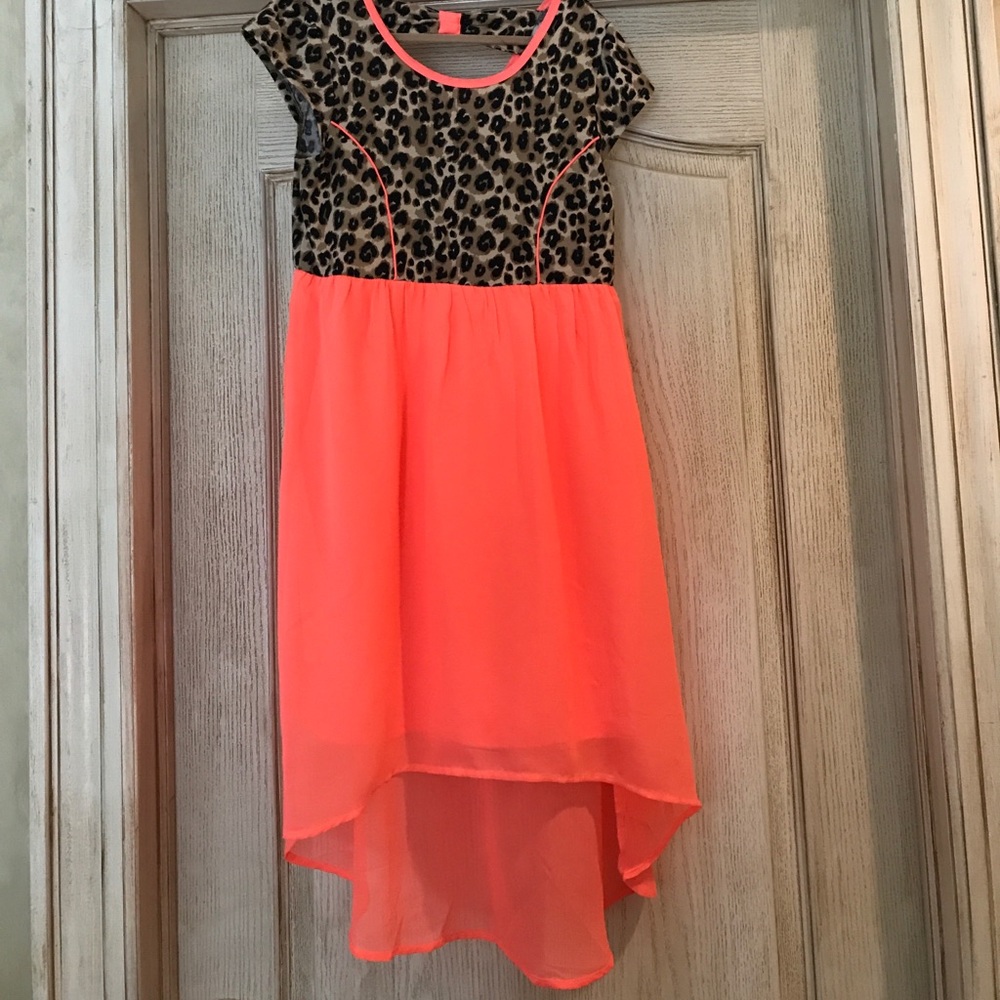 Leopard knit / chiffon dress size large