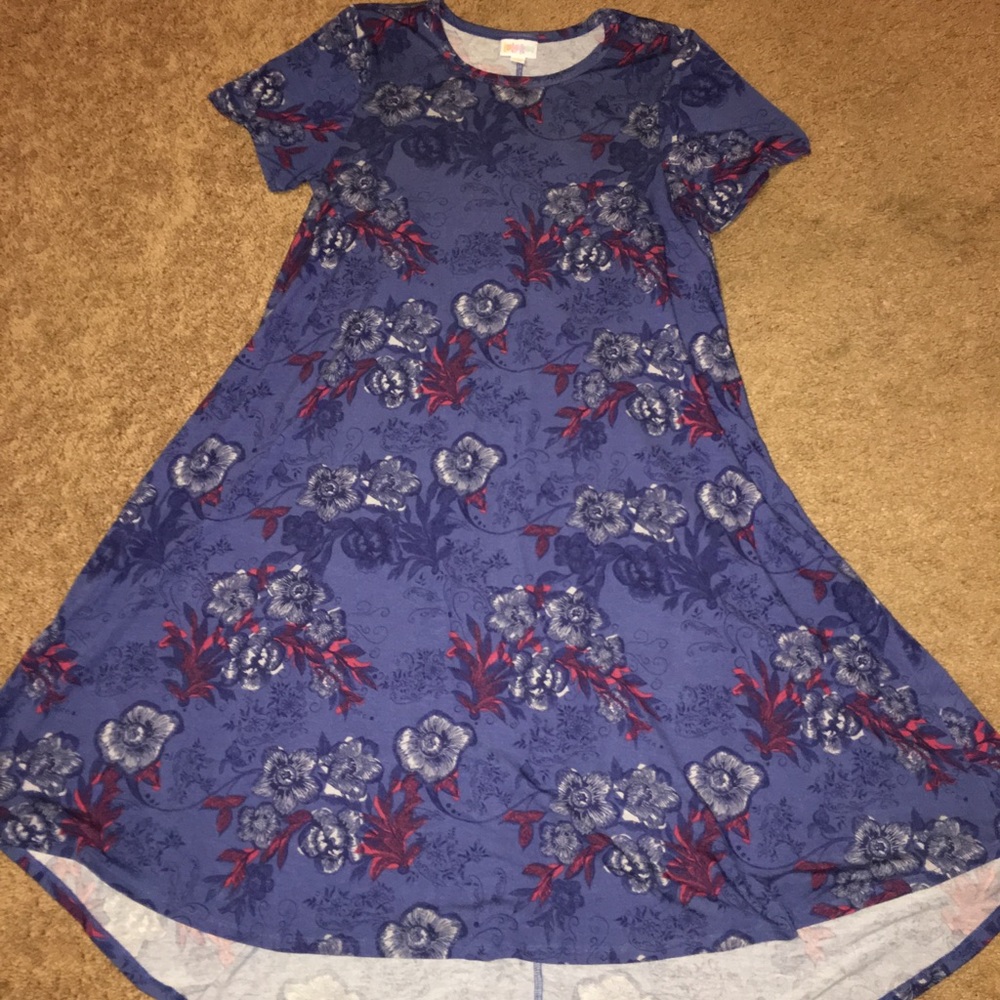 Gorgeous XXS lularoe carly