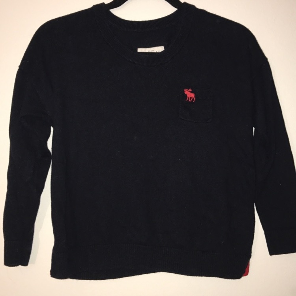 Cropped Navy Abercrombie & Fitch Sweater