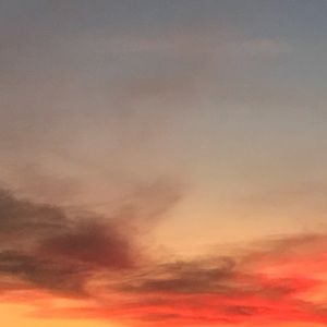 Meet your Posher, Jas