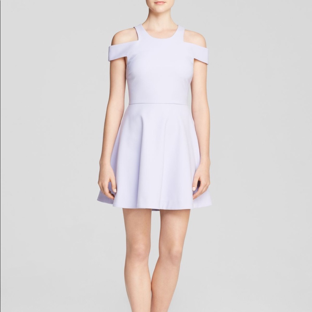 Elizabeth and James Lavender Dress Size 2