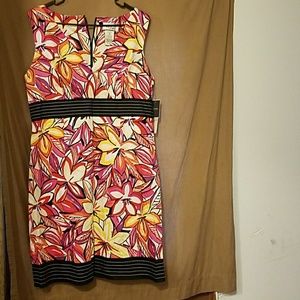 DBY. DRESS👗💞💖💗