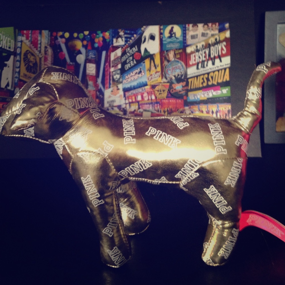 PINK VICTORIA'S SECRET FASHION SHOW 2014 DOG