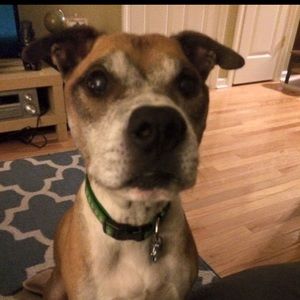 Meet your Posher, Jarret