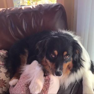 Meet your Posher, Chris