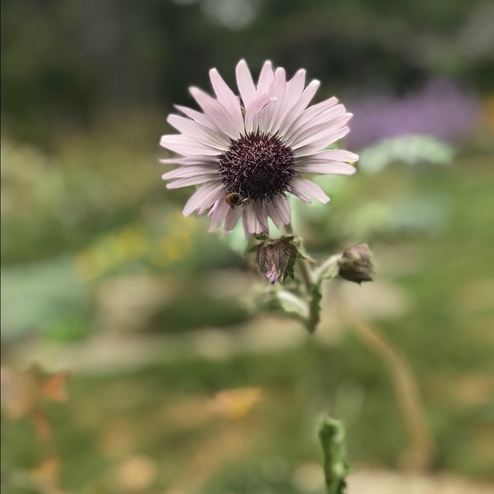 Meet your Posher, Cristina