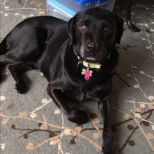 Meet your Posher, Megan