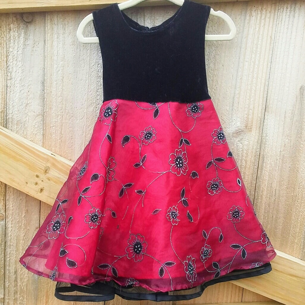 gorgeous dress (size 18mo)