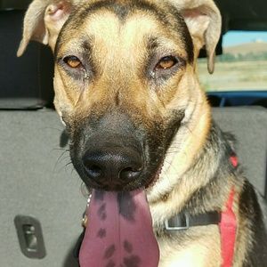 Meet your Posher, Donna