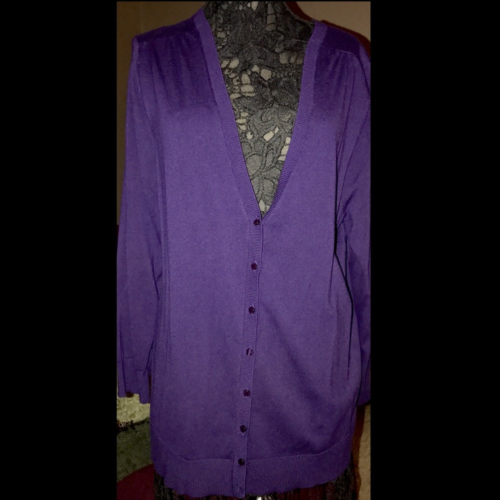 Plus Size 1X 18/20 Maggie Barnes Purple Sweater