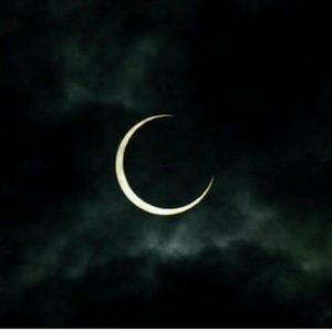 Meet your Posher, Alaina