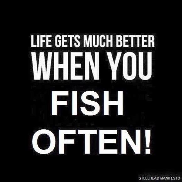 Meet your Posher, Jiggy - Picture 4 of 4