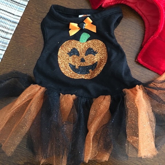 Dog Halloween costumes 🎃👻 - Picture 2 of 6