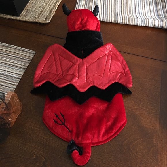 Dog Halloween costumes 🎃👻 - Picture 3 of 6