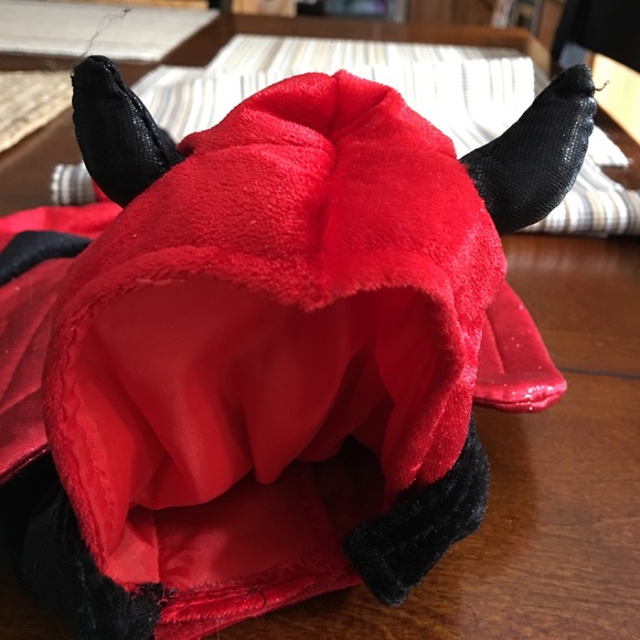 Dog Halloween costumes 🎃👻 - Picture 4 of 6