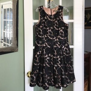 Taylor brand lace cocktail dress