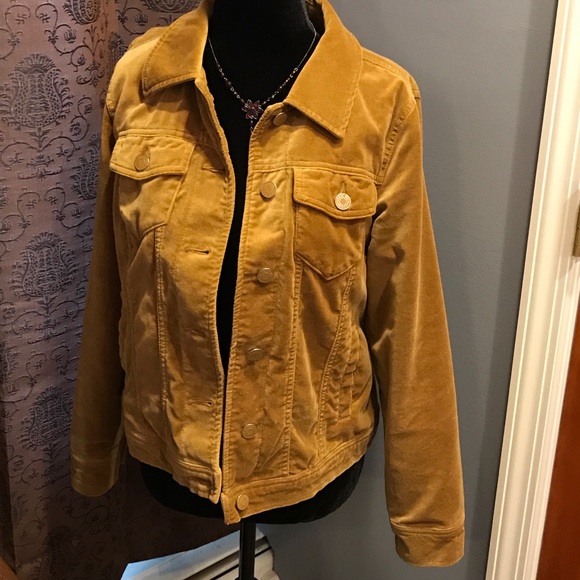 Isaac Mizrahi Jackets & Blazers - Isaac Mizrahi gold “velvet” jean style jacket sz6