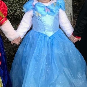 Cinderella princess Halloween Costume