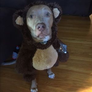 Meet your Posher, Sam