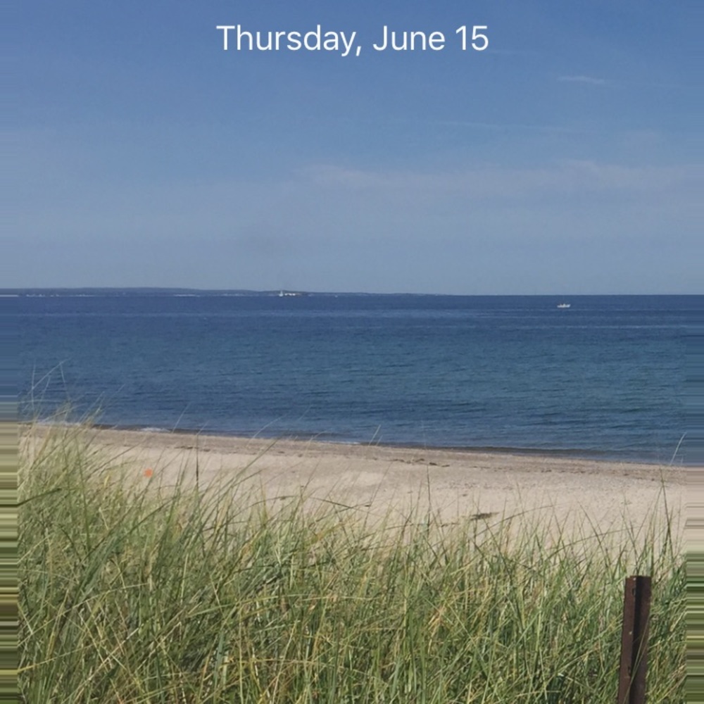 Meet your Posher, Billy