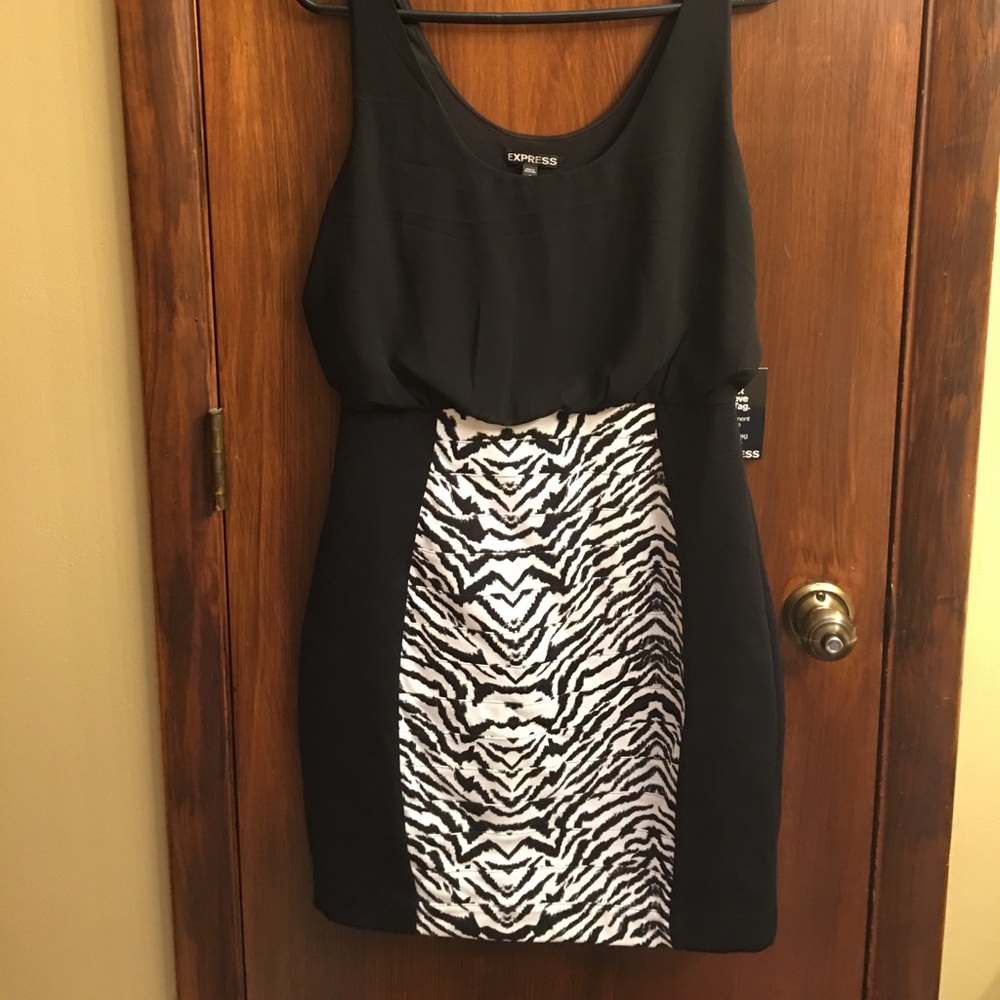 Express Zebra Dress, Size M