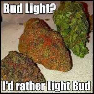 Meet your Posher, Shon