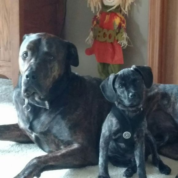 Meet your Posher, Lori - Picture 1 of 1