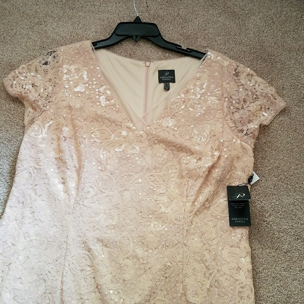 Adrianna Papell Sequinn Lace and Organza Sheath