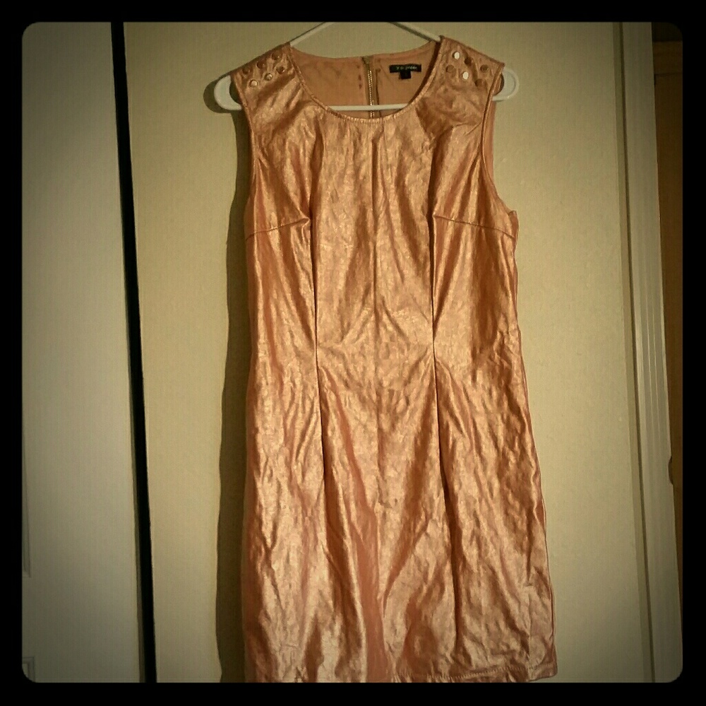 Rose Gold Dress