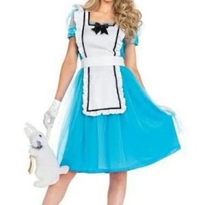 Alice in Wonderland costume