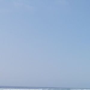 Meet your Posher, Anya