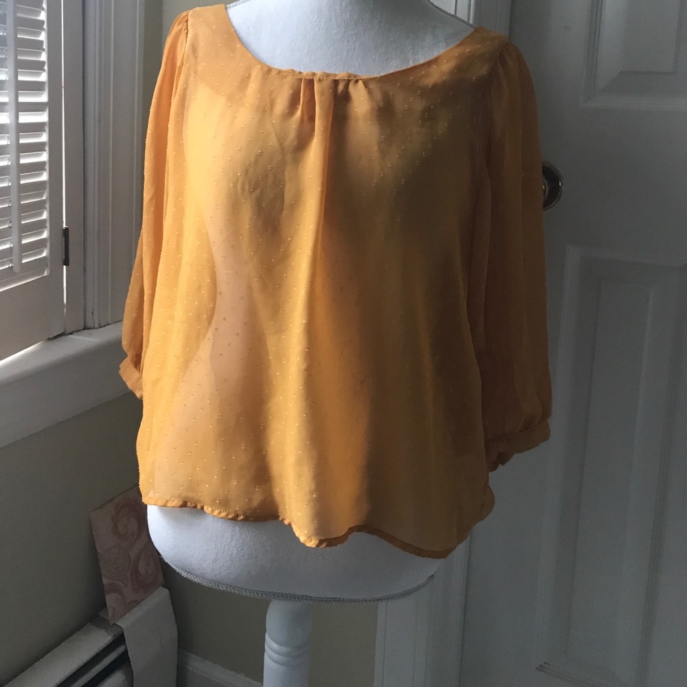 Xhilaration Sheer Blouse