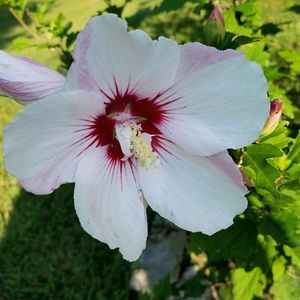 Meet your Posher, Miranda