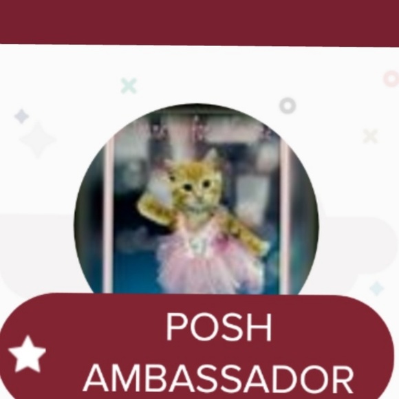 I'M A "POSH AMBASSADOR" - Picture 2 of 6