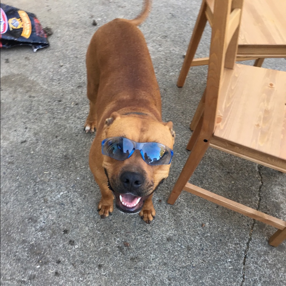 Meet your Posher, Hongvan