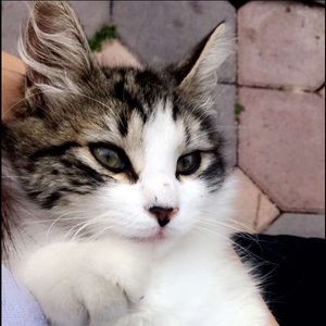 Meet your Posher, Theresa