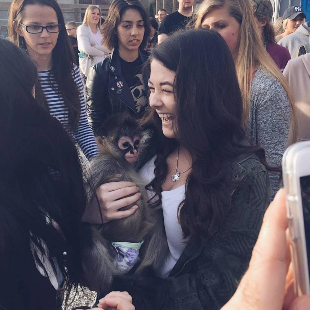 Meet your Posher, Hannah